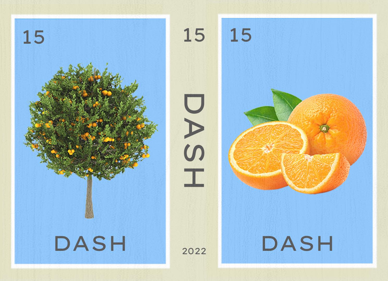 DASH journal cover (2022, issue 15) with orange tree and sliced oranges
